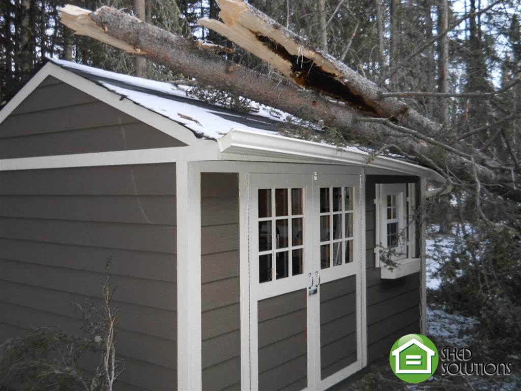 Featured Shed - Week Of December 3, 2012 Shed Solutions